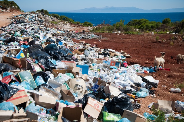 Umwelt: Brise mit Plastik