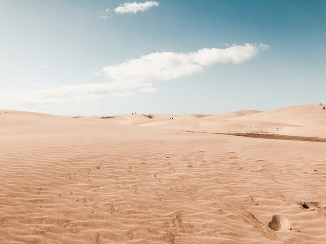 Mit fossilen Pflanzenmolekülen der grünen Sahara auf der Spur