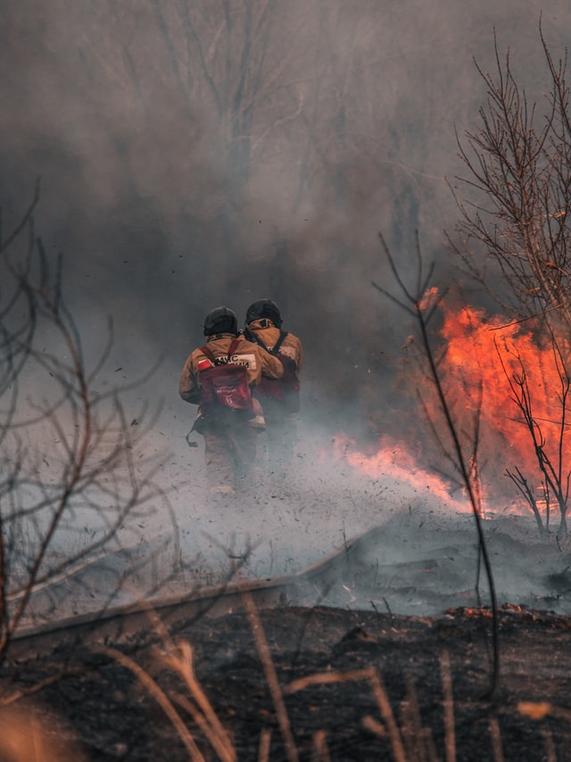 Ukraine: Wie der Krieg der Umwelt schadet