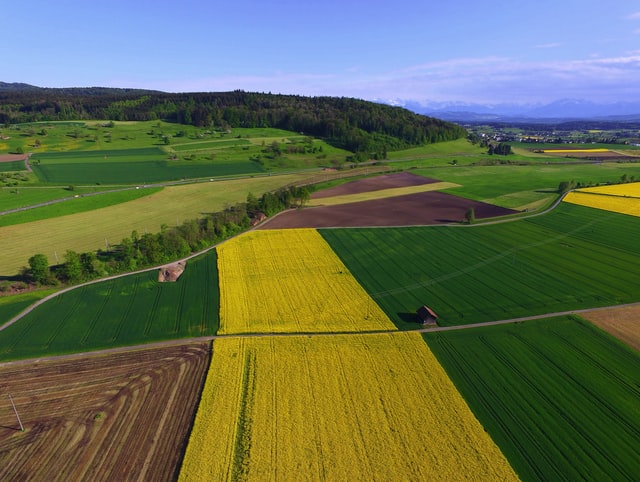 Wie der Klimawandel die Landwirtschaft in Europa verändert