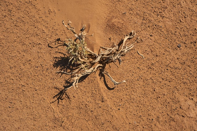 Neue Materialien verbessern Wasserernte aus Wüstenluft